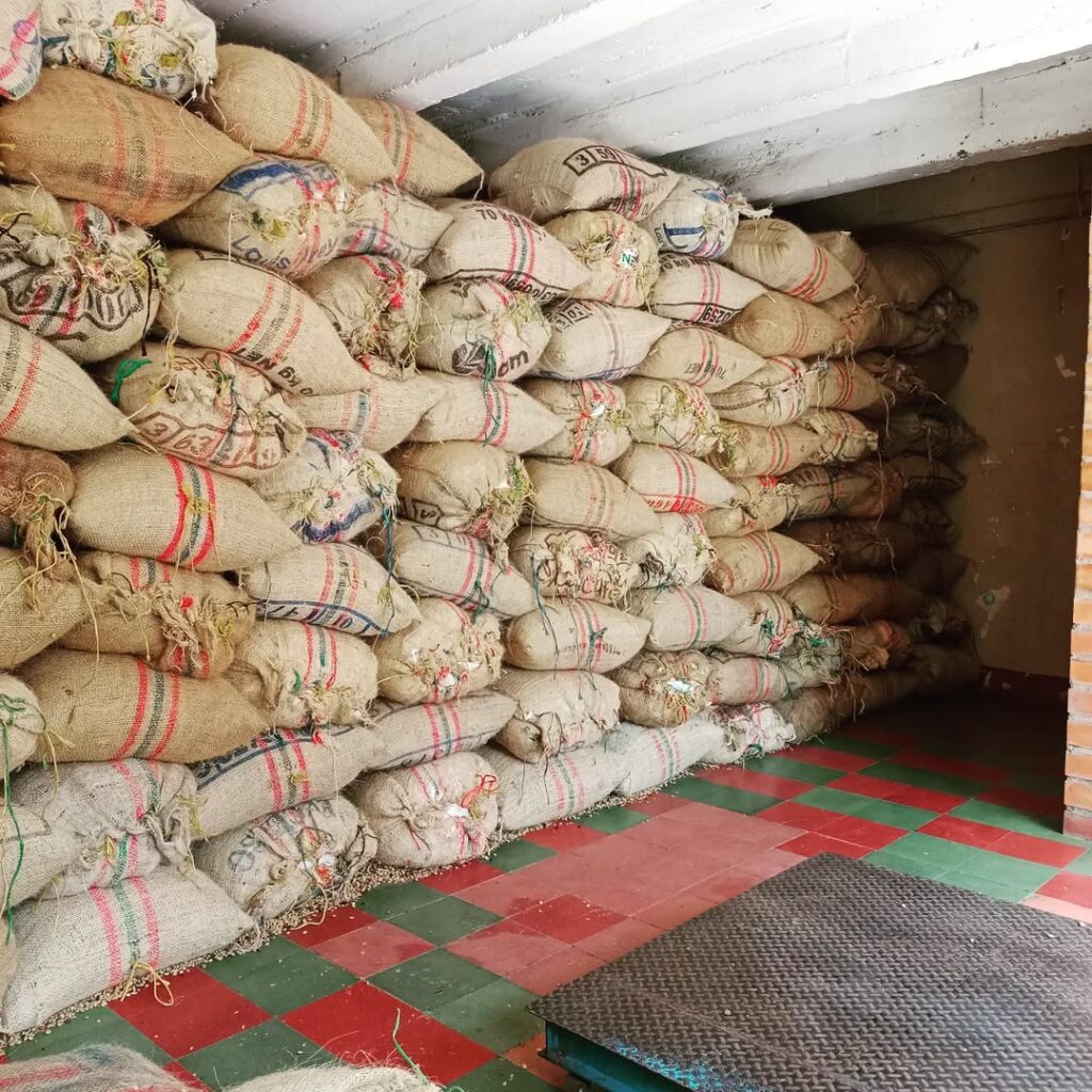 Bultos de café seco en una agencia de café de Ciudad Bolívar, Antioquia