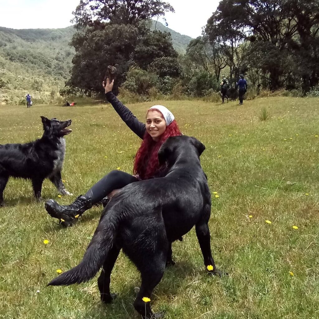 Persona sentada en un prado verde jugando con dos perros en el camino al Páramo de Belmira.
