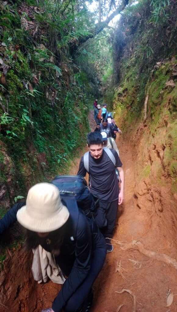 Hilera de senderistas caminando por un camino de tierra color terracota.